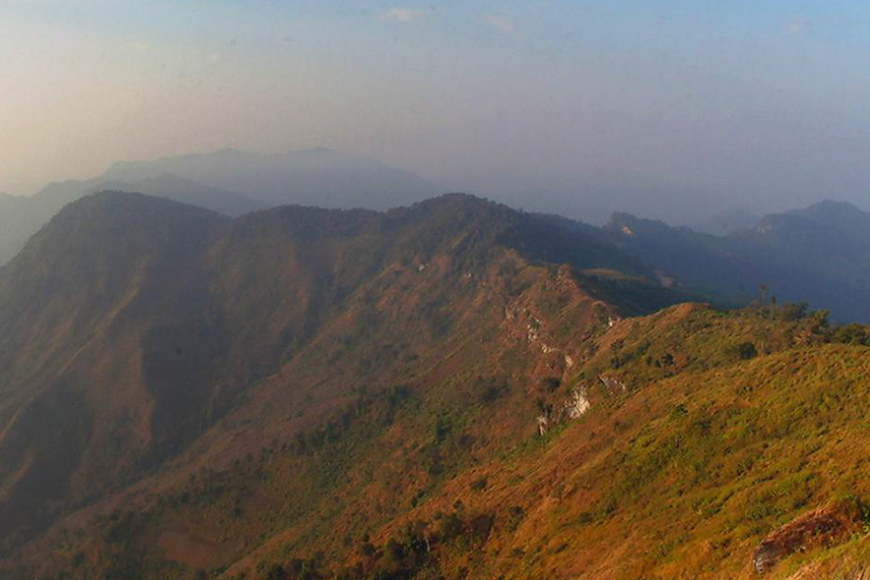 blog image